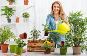 گیاهان آپارتمانی مناسب و محبوب